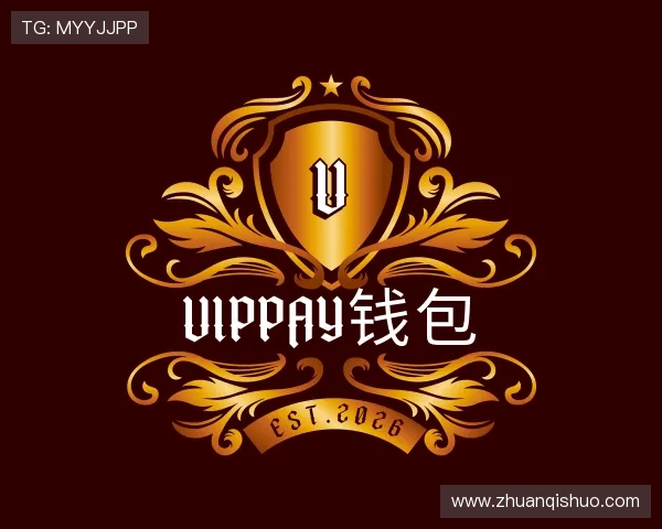 发现VipPay钱包